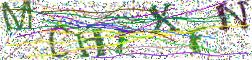 图形验证