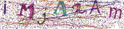 图形验证